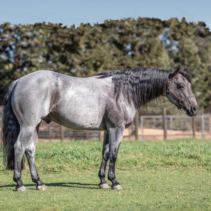 Bet Hesa Boon X This Chics On Fire