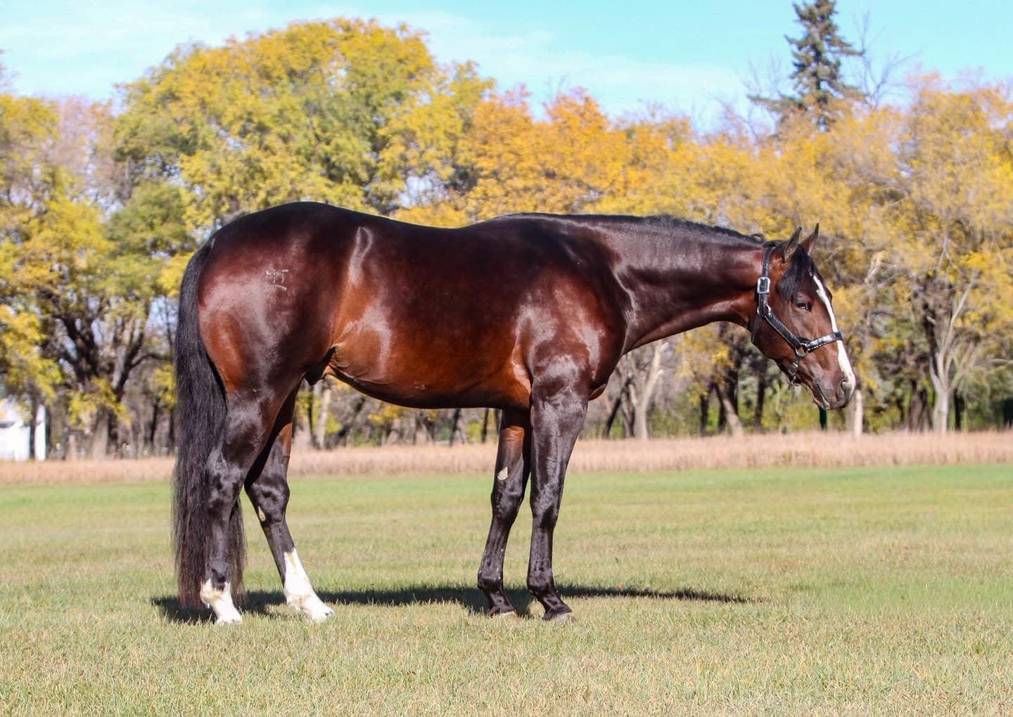 MTCUP VINTAGE TEASPOON