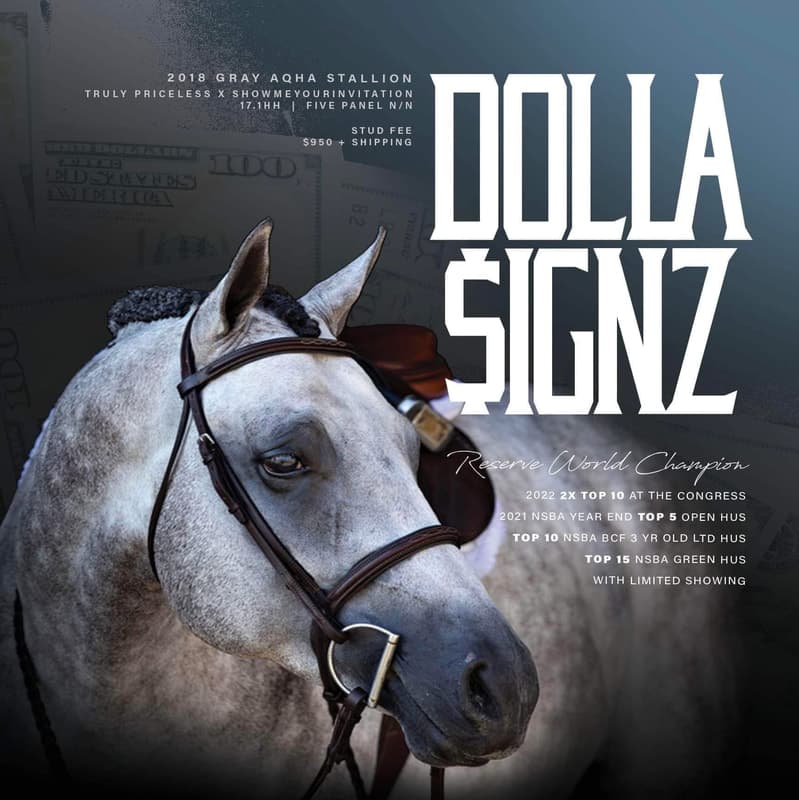 DOLLA SIGNZ